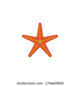 Star fish logo vector flat design template