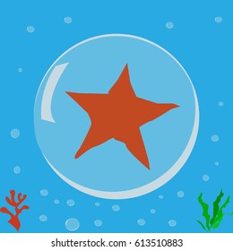 Star fish, seal, icon, logo, symbol.