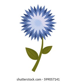 star flower stem leaves vector illustration eps 10