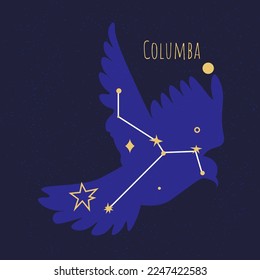 Star formation of bird, Constellation of columba. Flying dove made in starry night sky. Astronomy and exploration of celestial objects and bodies in galaxy or space universe. Vector in flat style