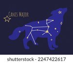 Star formation of dog, isolated constellation of canis major on dark sky. Astronomy exploration and discoveries of celestial bodies, pleiades and planet objects. Vector in flat style illustration