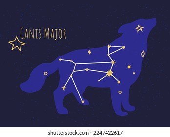 Formación estelar de perro, constelación aislada de canis mayor en el cielo oscuro. Exploración astronómica y descubrimientos de cuerpos celestes, pleiades y objetos planetarios. Vector en ilustración de estilo plano