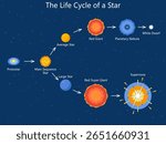 star formation and evolution stages including protostar, red giant, supernova, white dwarf, and more diagram hand drawn schematic vector. Science educational illustration