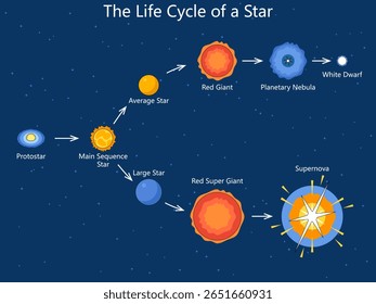 estágios de formação e evolução de estrelas, incluindo protoestrela, gigante vermelha, supernova, anã branca e mais diagrama desenhado à mão vetor esquemático. Ilustração educacional científica