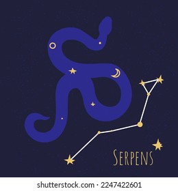 Star formation in shape of snake, constellation of serpens. Astronomy exploration of space and discoveries of celestial bodies and planets shining in dark night sky. Vector in flat style illustration