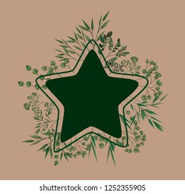 star frame with laurel leafs