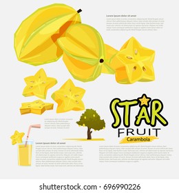 Star Fruit or Carambola. information graphic. logo, typographice for header design - vector illustration