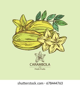 Star fruit: carambola fruit, leaves and slice of carambola. Vector hand drawn illustration.