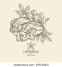 Star fruit: carambola fruit, leaves and slice of carambola. Vector hand drawn illustration