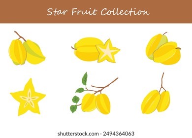 colección de fruta estrella. fruta estrella en diferentes poses. Ilustración vectorial.