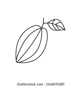 Star Fruit food icon in line style icon, isolated on white background