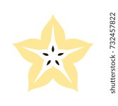 star fruit  icon