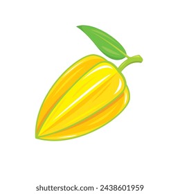 star fruit icon vector element design template web