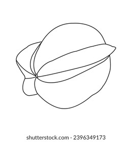 Diseño de ilustraciones vectoriales de iconos de frutos de estrella