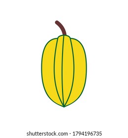 star fruit icon vector symbol isolated illustrations white background