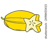 star fruit illustration hand drawnisolated vector