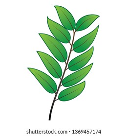 Star Fruit Leafs