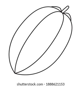 star fruit line vector illustration,
isolated on white background.fruits top view