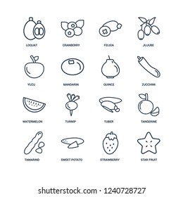 Star fruit, Strawberry, Sweet potato, Tamarind, Tangerine, Loquat, Yuzu, Watermelon, quince outline vector icons from 16 set