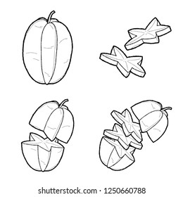 Star Fruit Vector Illustration Hand Drawn Fruit Cartoon Ar