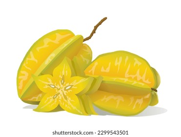 Star Fruits (Averrhoa carambola), a type of tropical fruit. Vector illustration isolated on white background, eps