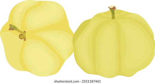 Star Gooseberry Fruit or Phyllanthus acidus Illustration Isolated on White Background