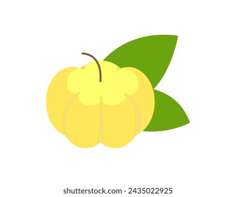 star gooseberry illustration for coloring book template, star gooseberry for kids worksheet printable