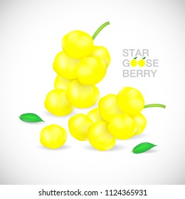 Star Gooseberry with leaves isolated on white gradient background. Vector illustration.