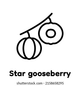 Icono lineal de la gooseberry estrella, Vector, Ilustración.