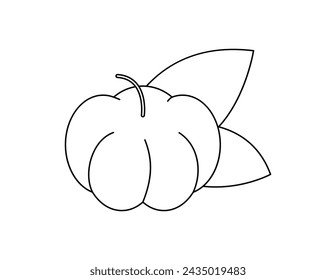 star gooseberry outline for coloring book template, star gooseberry for kids illustration worksheet printable