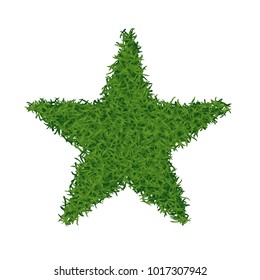 star grass design