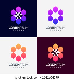 star hexagon colorful gradient logo design