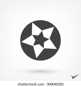 Star icon