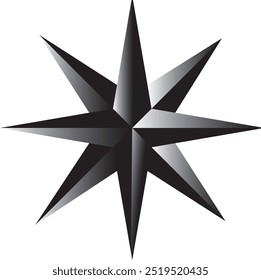 Ilustración vectorial del logotipo del icono de la estrella aislada dos colores blanco y negro 