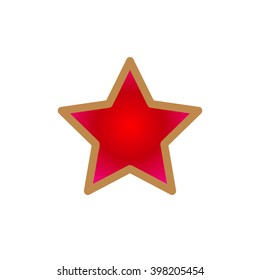 star icon Vector
