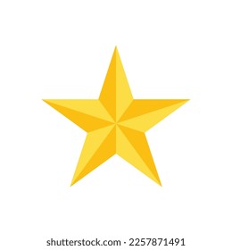 star icon vector design template in white background