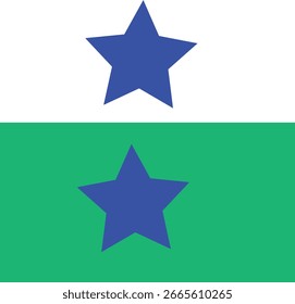 Icono de estrella para su sitio web
