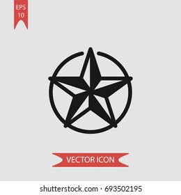 Star incide circle vector icon, illustration symbol