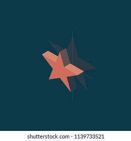 Star, isometric flat design infographic on colored background