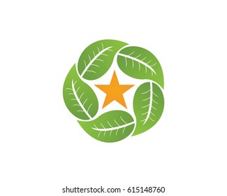 Star Leaf Logo