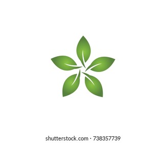 Star leaf logo design template