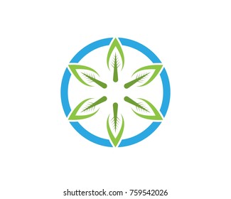 Star leaf nature logo design template