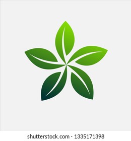 Star Leaves Logo