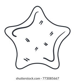 star light isolated icon