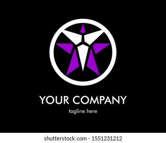 Star Logo Company. Vector Icon illustration design