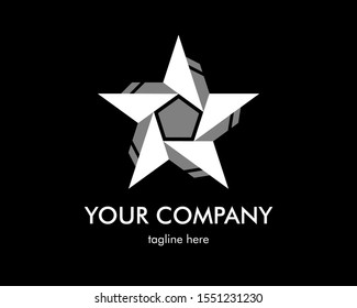 Star Logo Company. Vector Icon illustration design