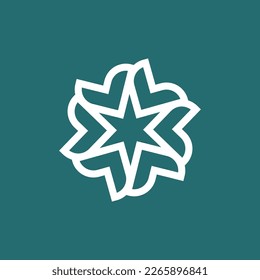 Star Logo contemporary logo design
