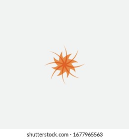 STAR-LOGO-DESIGN UND KREATIVES SIGN