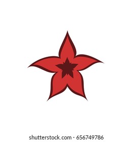 Star Logo Design XVII
