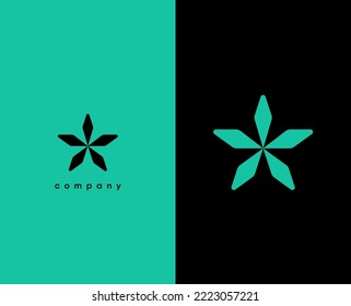 Star logo. Geometric star icon. Line Style Can be used for Business and Brand Logos. Flat Vector Logo Design Template Element.